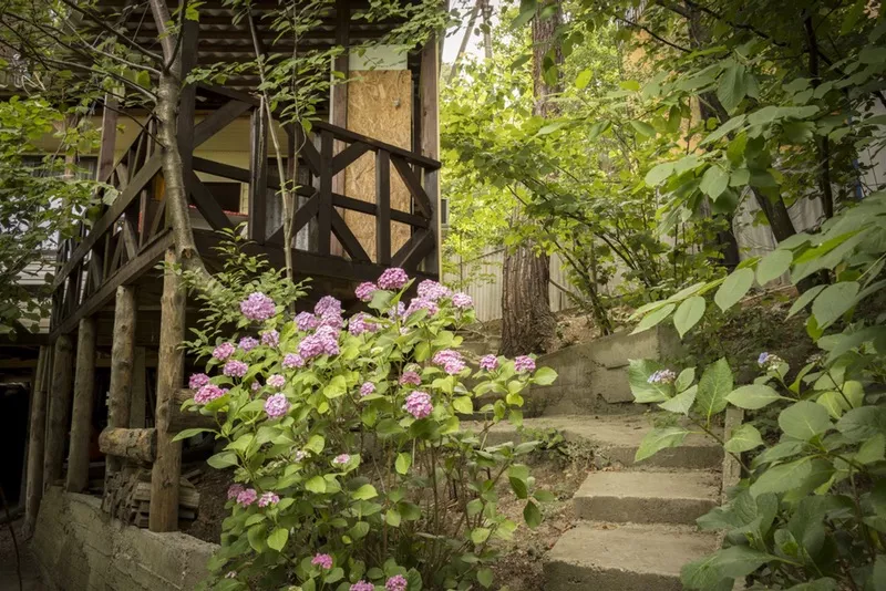 Семёновский дом. База отдыха "Сосновый Бор". Чемитоквадже