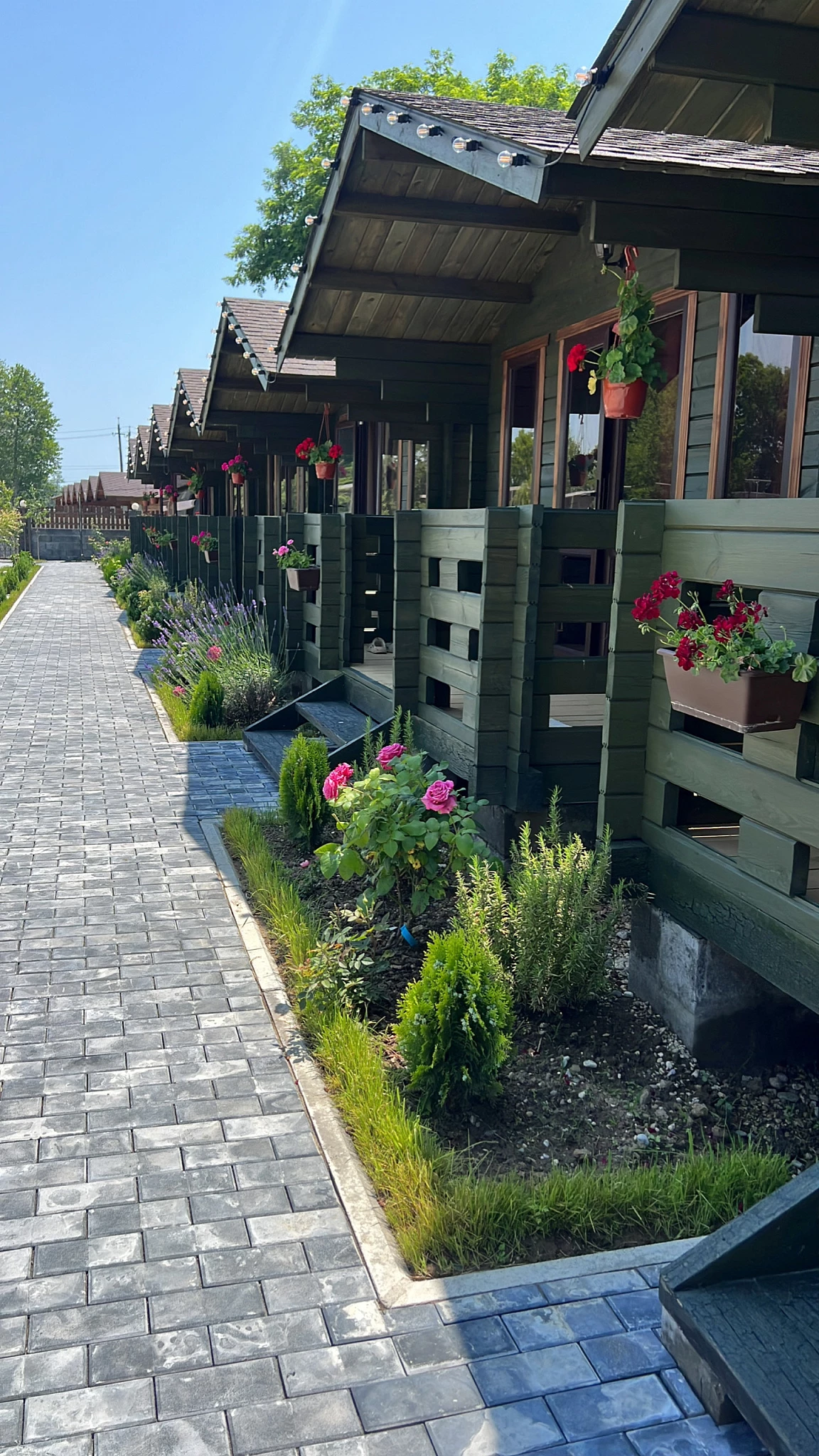 . Гостевой дом Апра. Пицунда . Гостевой дом Апра. Пицунда