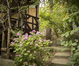 Семёновский дом. База отдыха "Сосновый Бор". 