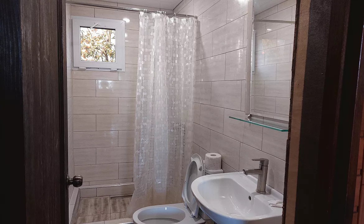 стандарт. Гостевой дом КАМЕЛИЯ. Пицунда