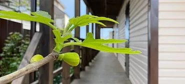 Гостевой дом Familiya