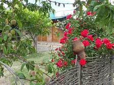 Дом под ключ На Комсомольской 25