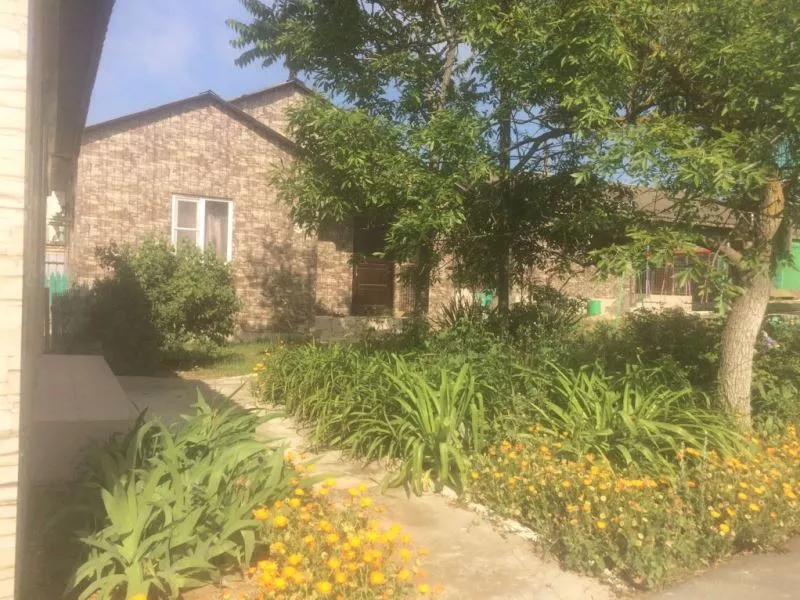 . База отдыха "Дружба" в Веселовке. Веселовка