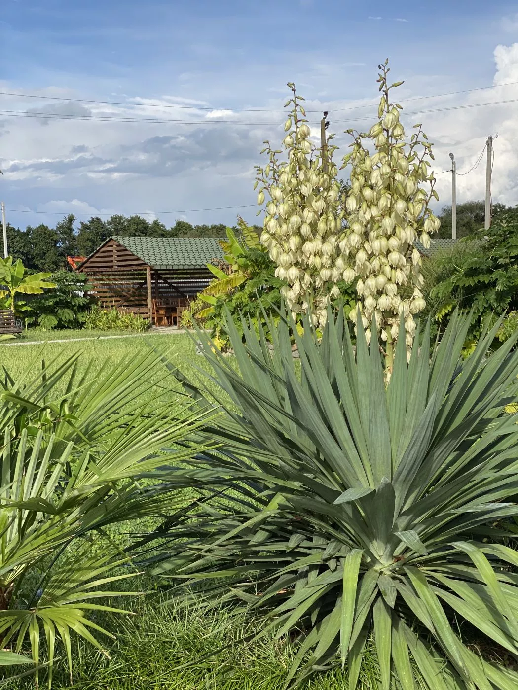. База отдыха "Скурча". Сухум