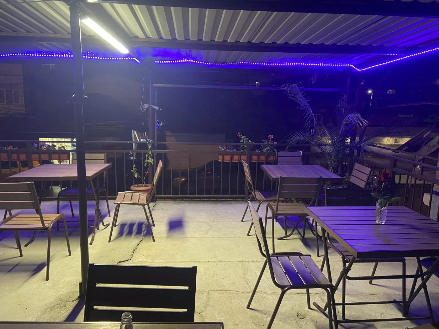 . Гостевой дом Надежда в Гаграх. Гагра