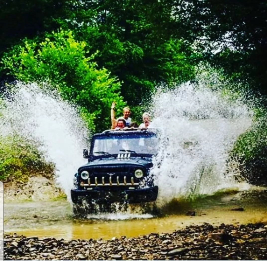 . Гостевой дом "Флора". Геленджик . Гостевой дом "Флора". Геленджик