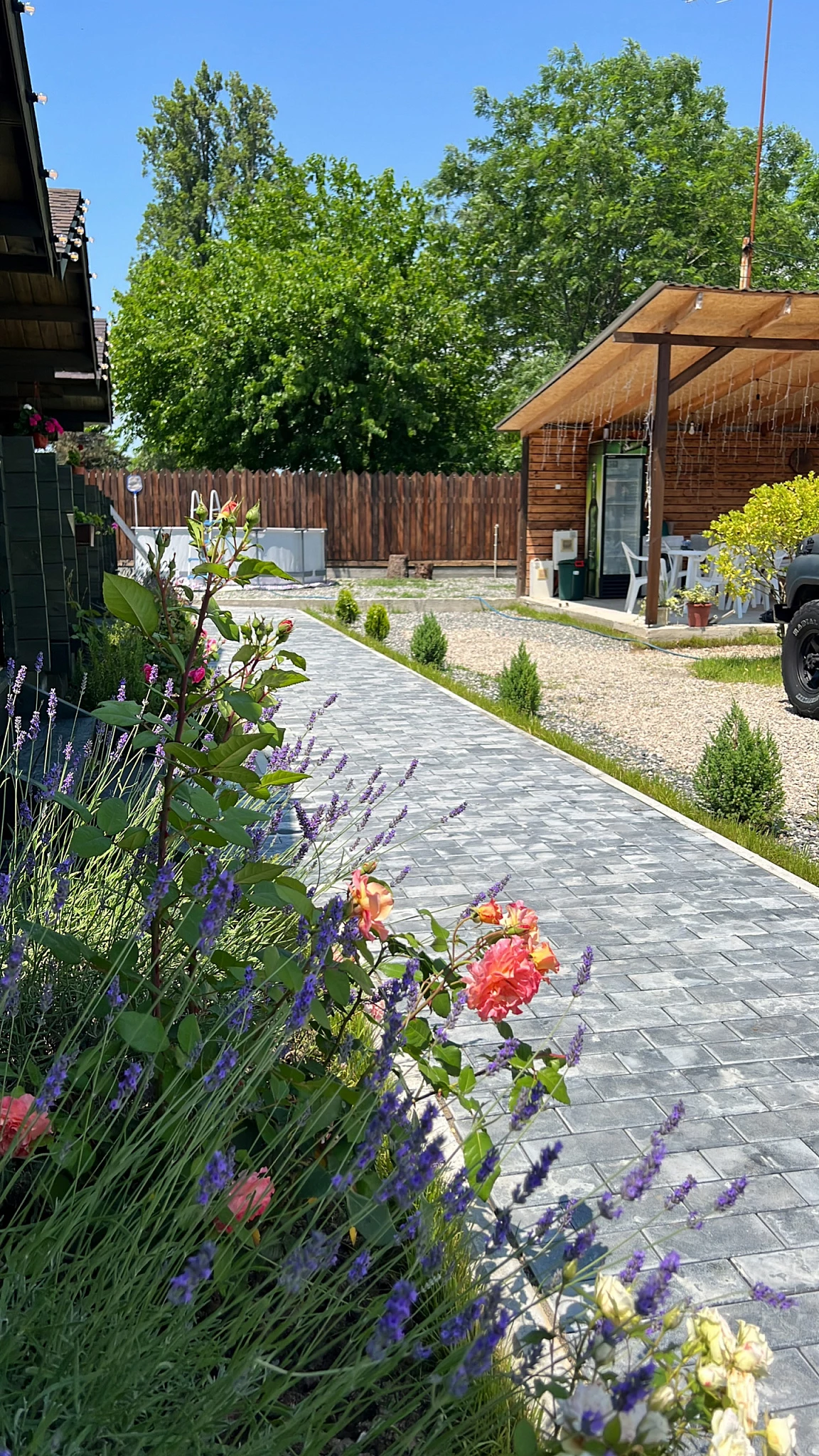 . Гостевой дом Апра. Пицунда . Гостевой дом Апра. Пицунда