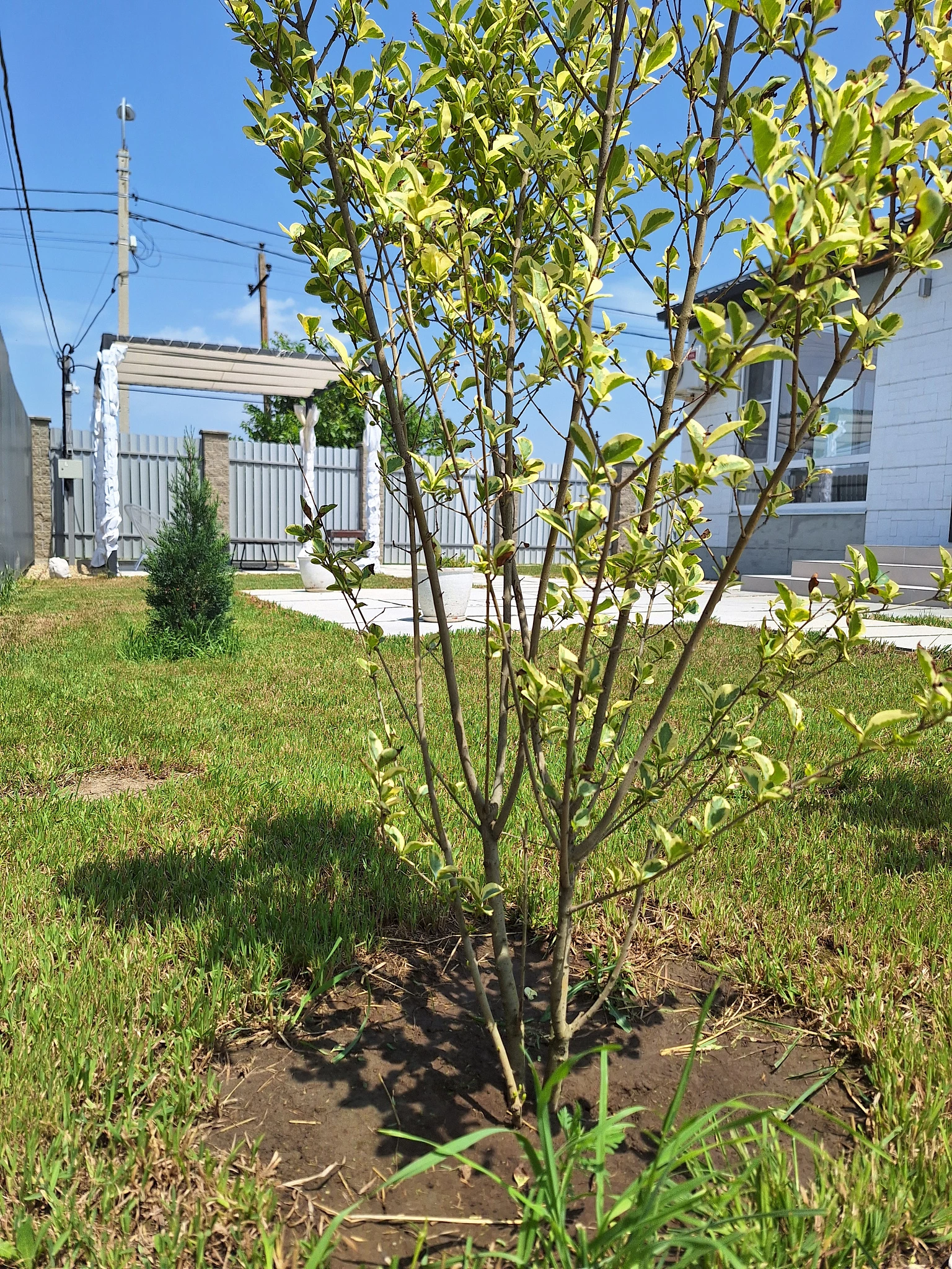 . Коттедж Коттедж Скандинавия Анапа . Анапа