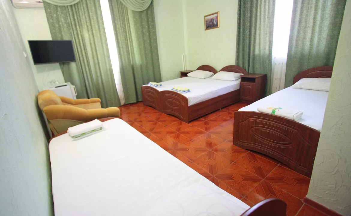 Люкс однокомнатный 4-х местный с балконом. Гостевой дом «ZIRIDIS». Витязево