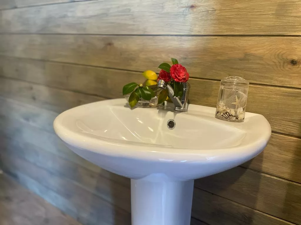 . Гостевой дом Апра. Пицунда . Гостевой дом Апра. Пицунда