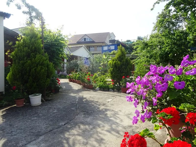 . Гостевой дом Светлана на Алычевом. Лоо . Гостевой дом Светлана на Алычевом. Лоо