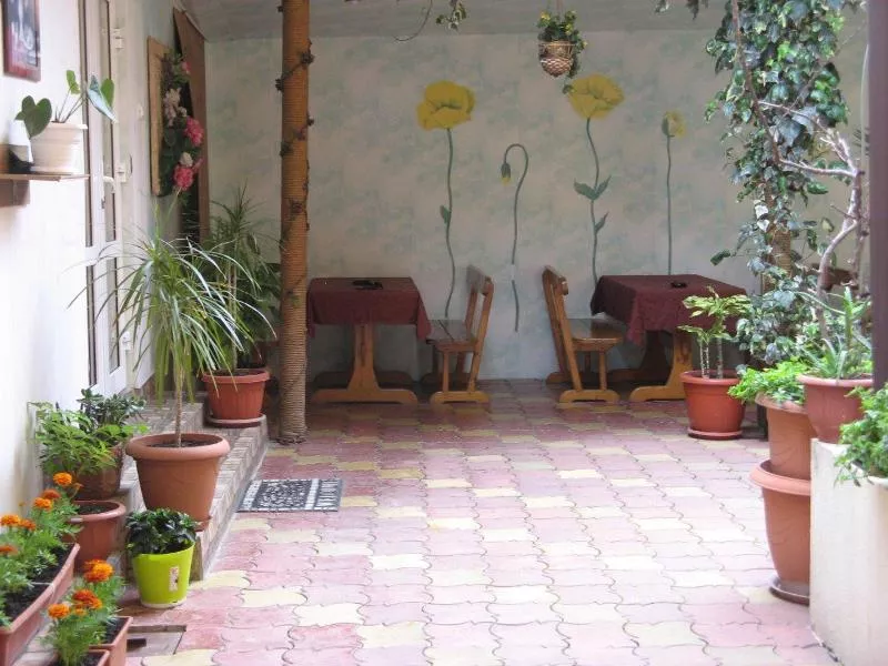 . Гостевой дом "Дом с дельфинами" (корпус 2). Адлер