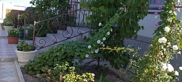 Гостевой дом "Петрович"