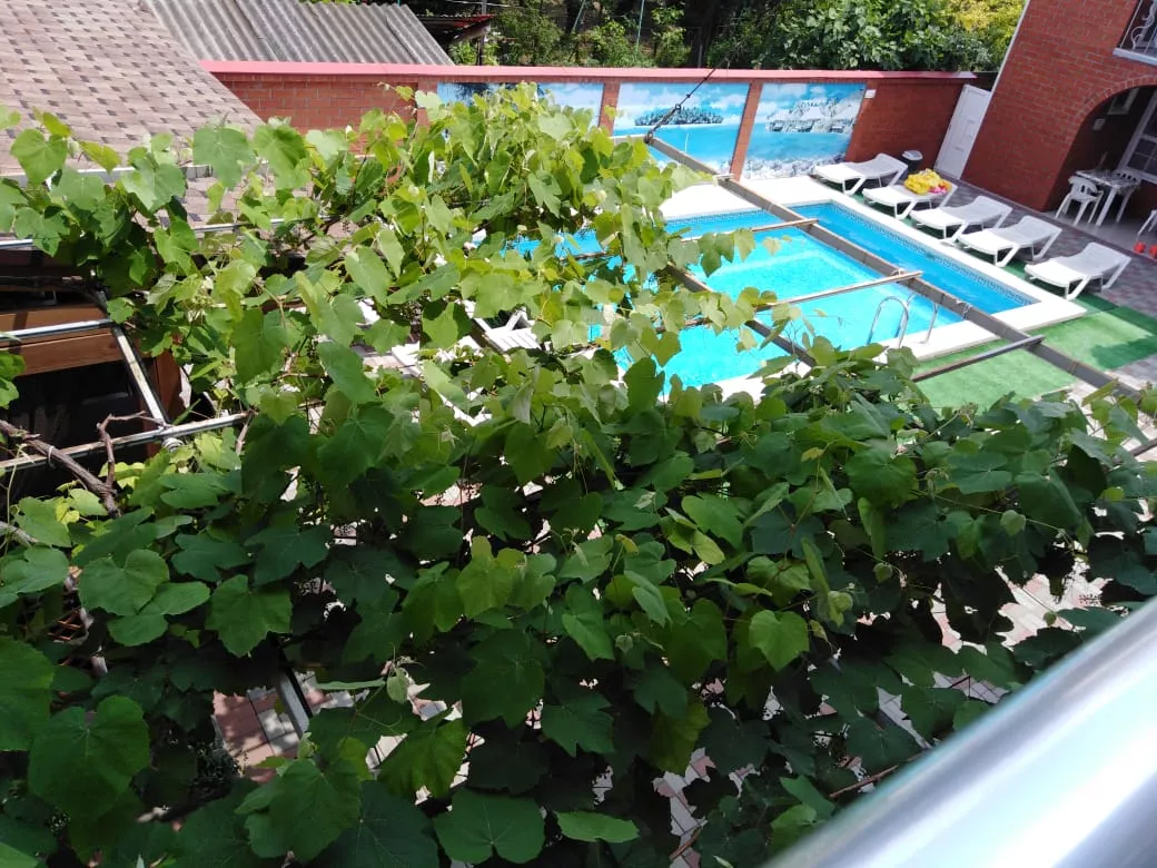 . Гостевой дом «Симона-Гранд». Анапа