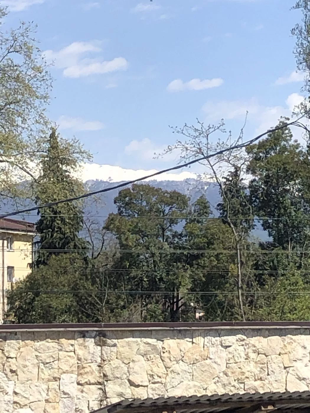 . Отель "Кипарис" - Гудаута. Гудаута