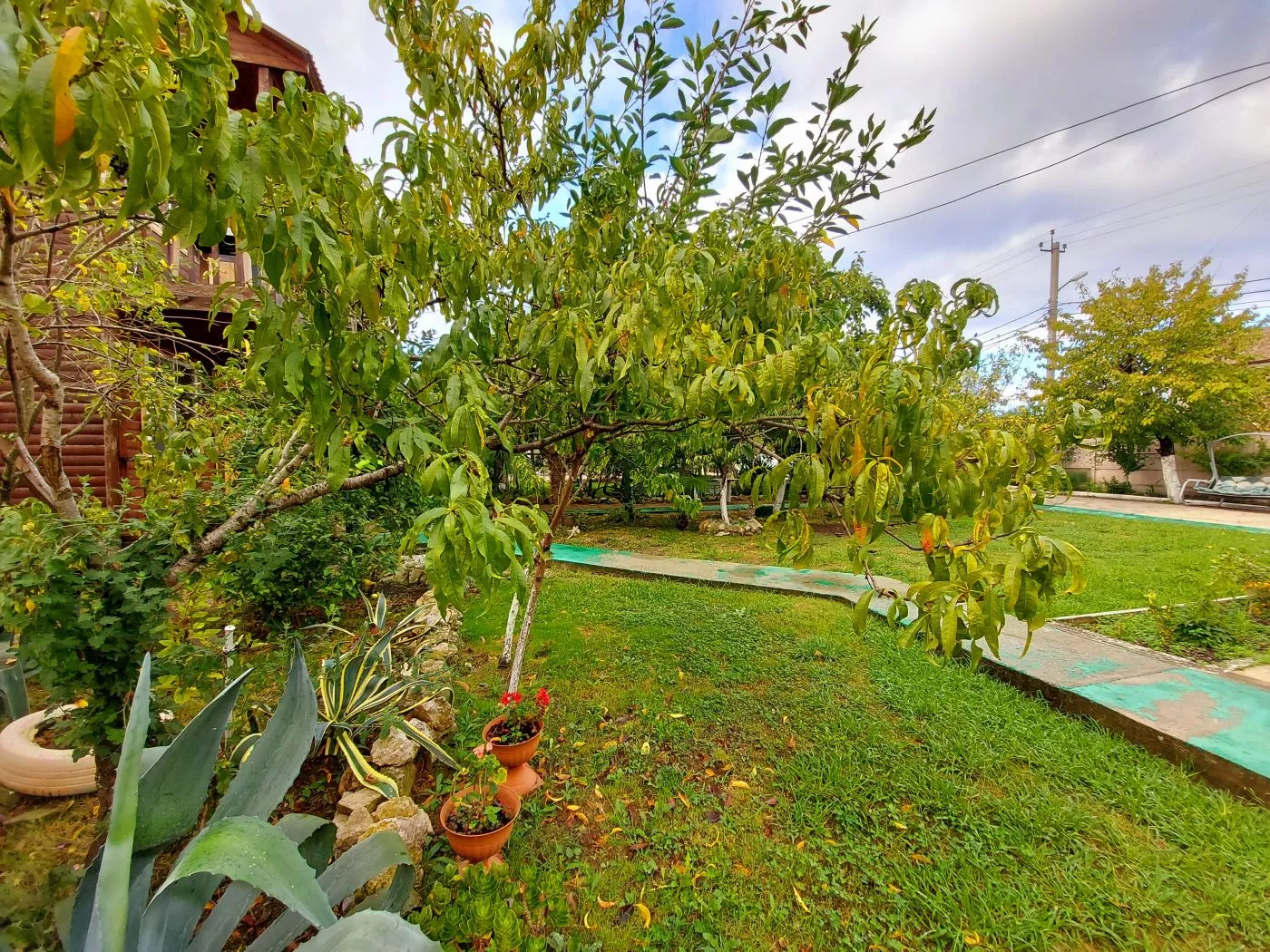 . Гостевой дом гостевой дом Новая Гагра. Гагра