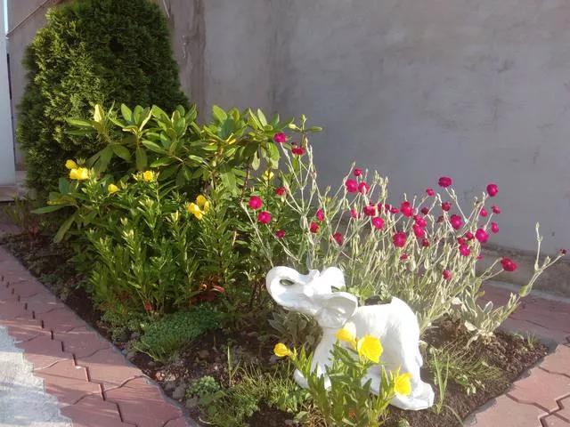 . Частный сектор Лето. Головинка