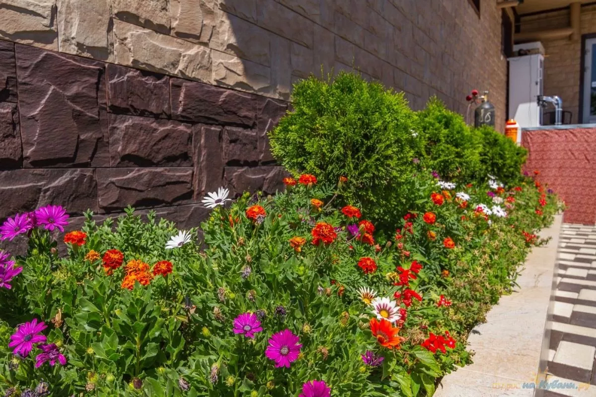 . Гостиница "ВИЛЛА СОЛНЦА"    . Джубга . Гостиница "ВИЛЛА СОЛНЦА"    . Джубга