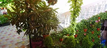 Частный сектор "У Евгения и Натальи"