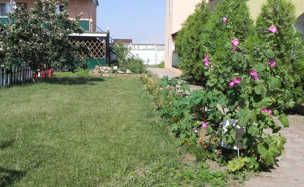 2-3-местный номер c террасой. Гостевой дом "Вероника". Штормовое