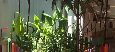 Частный сектор ул. Ленина 137/а"