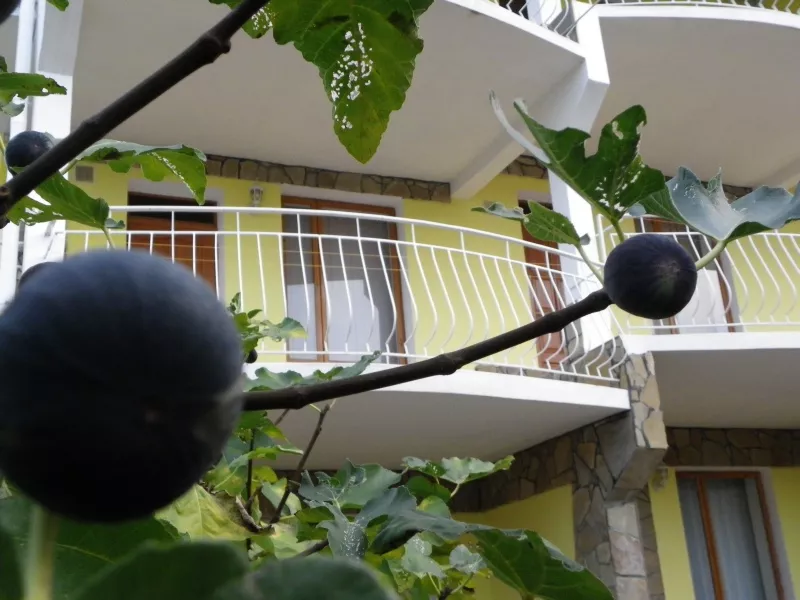 . Частное домовладение КАТЮША. Малореченское