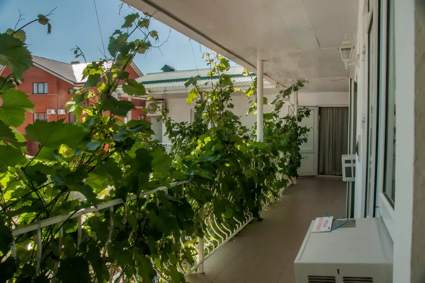 . Гостевой дом "Лидия" - Витязево. Витязево