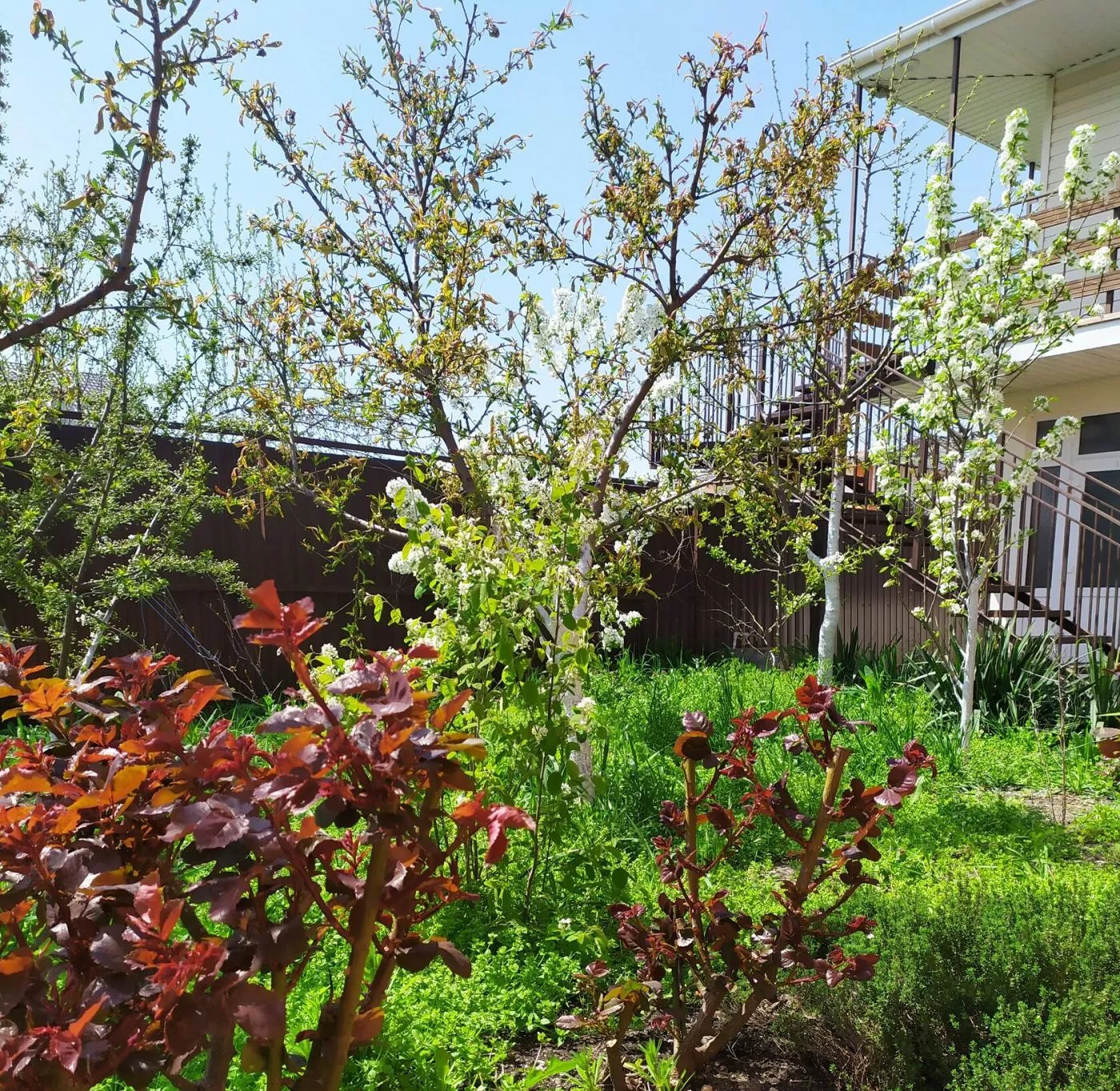 . Гостевой дом МОРЕ. Витязево . Гостевой дом МОРЕ. Витязево