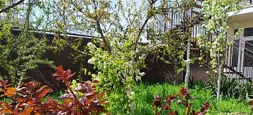 Гостевой дом МОРЕ