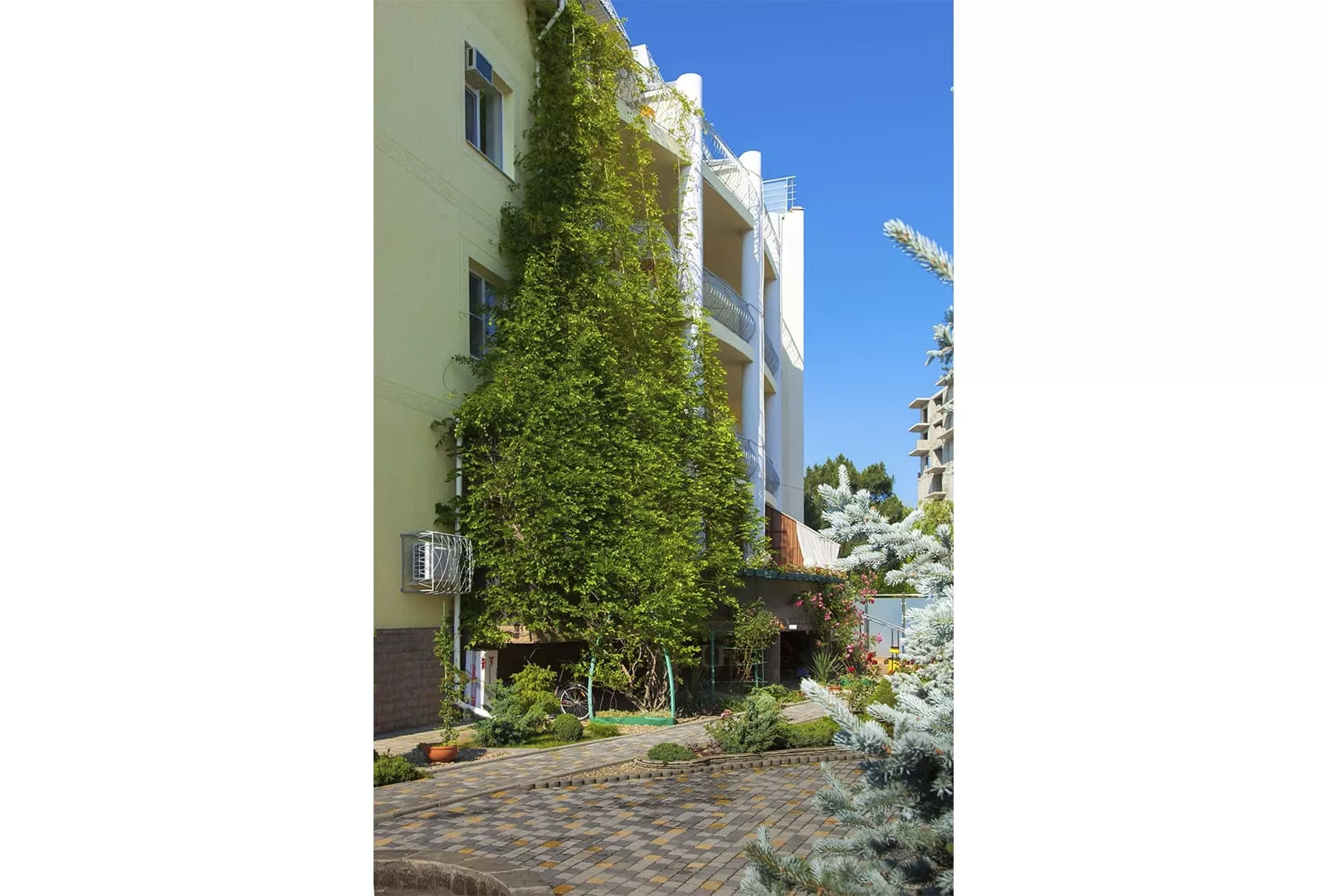 . Гостевой дом Аква-Солярис. Анапа . Гостевой дом Аква-Солярис. Анапа