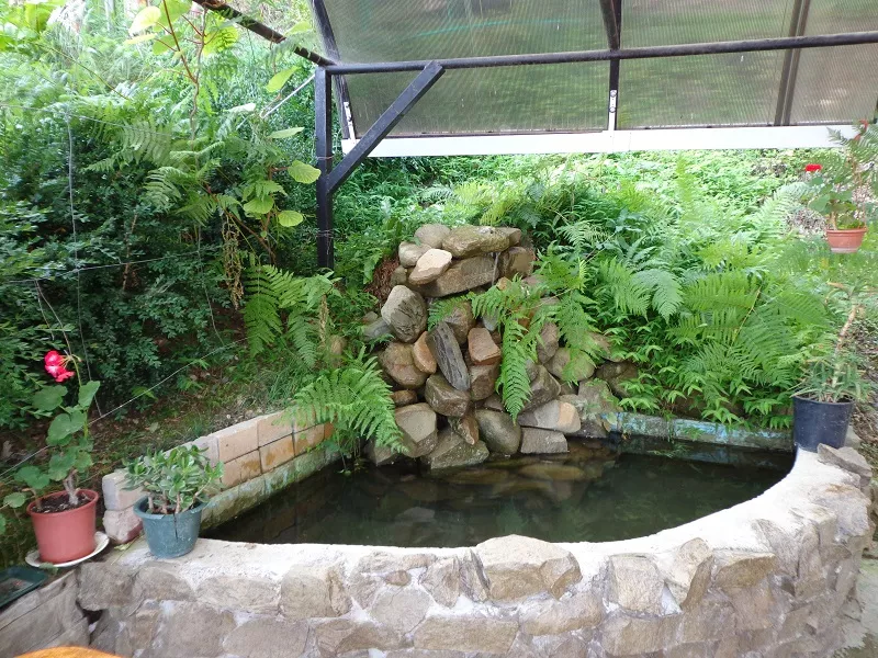 . Гостевой дом "У Риммы" - Каткова Щель. Каткова Щель