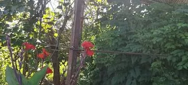 Частный сектор "У Сусанны" Частный сектор "У Сусанны"