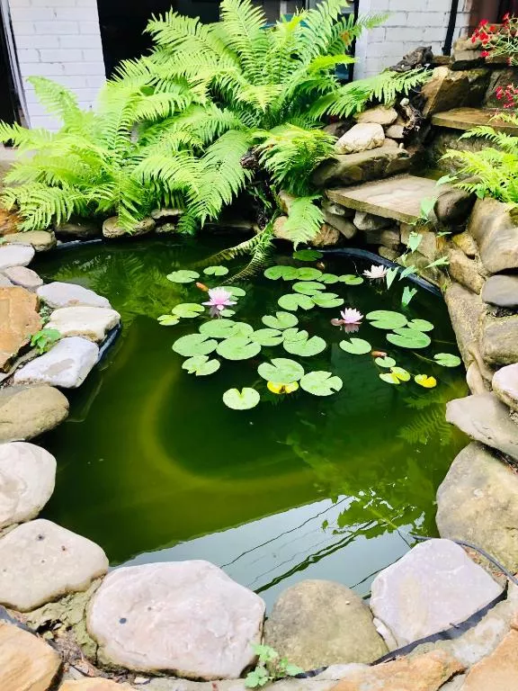 . Гостевой дом Евгения. Небуг