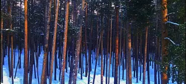 Отель «Семерка» Отель «Семерка»