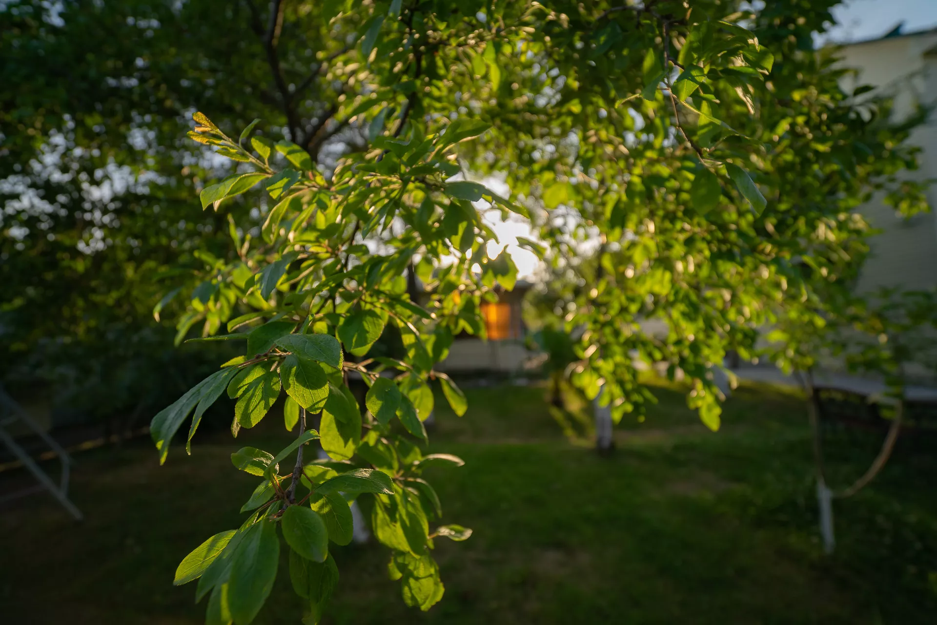 . Гостевой дом Family Holiday. Цандрипш