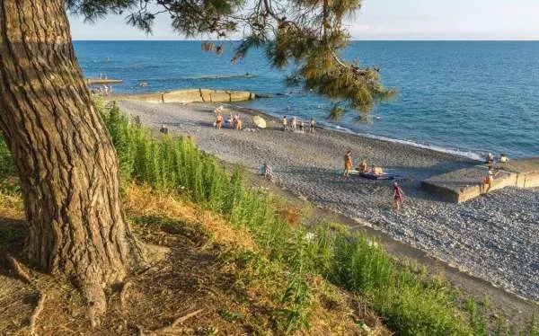 . Гостевой дом У Альберта. Головинка . Гостевой дом У Альберта. Головинка