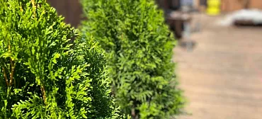 Гостевой комплекс "Атмосфера"