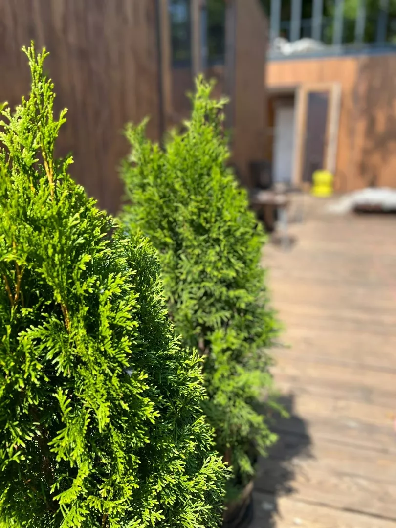 . Гостевой комплекс "Атмосфера". Сухум