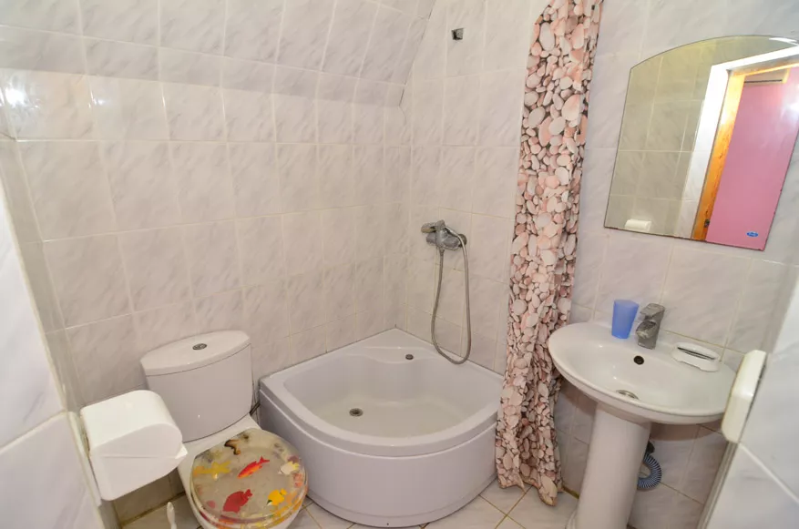 2-3-местный 1-комнатный 