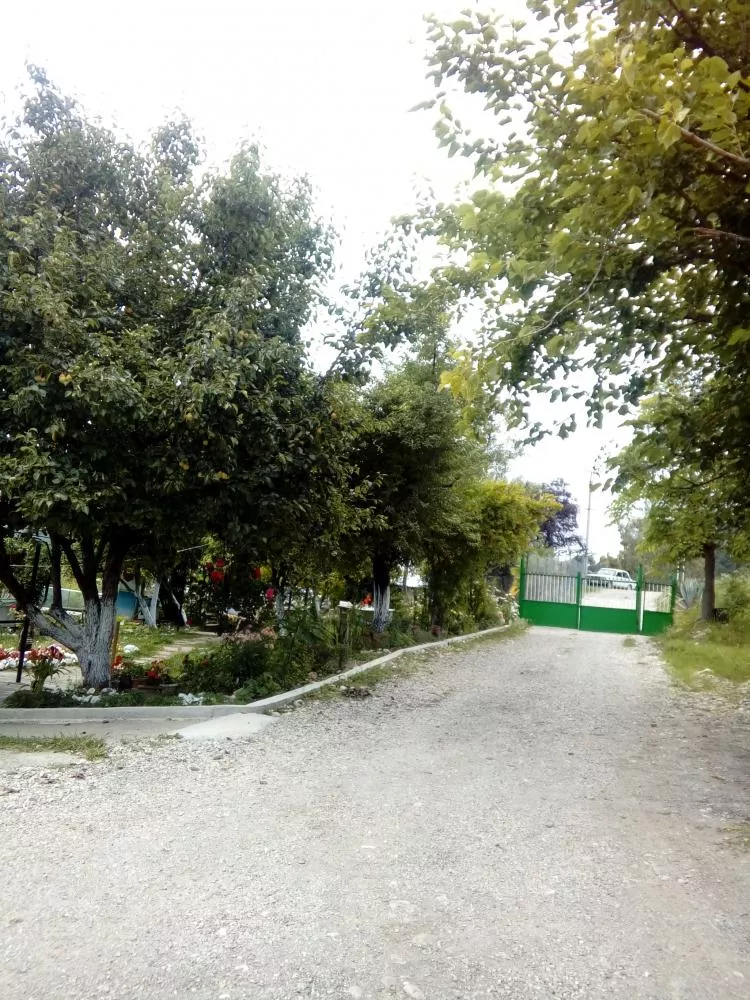 . Гостевой дом "Апельсин". Новый Афон