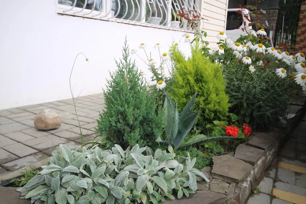 . Гостевой дом КАРАВЕЛЛА. Лазаревское