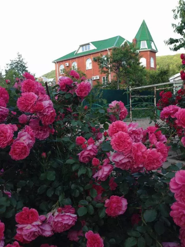 . Гостевой дом "ЮрГа". Агой