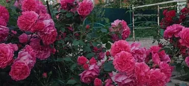 Гостевой дом "ЮрГа"