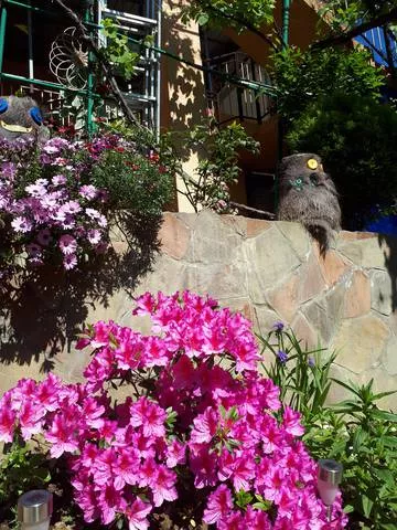 . Гостевой дом «Аэлита». Адлер