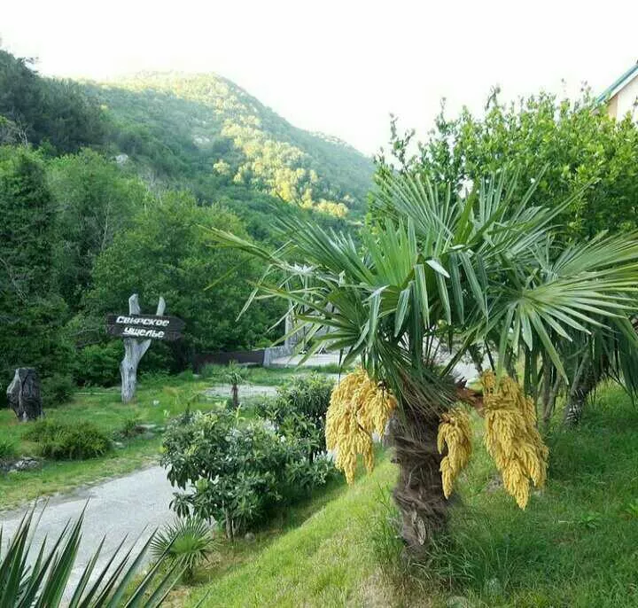 . Гостевой дом "РОМАНТИКА". Лазаревское