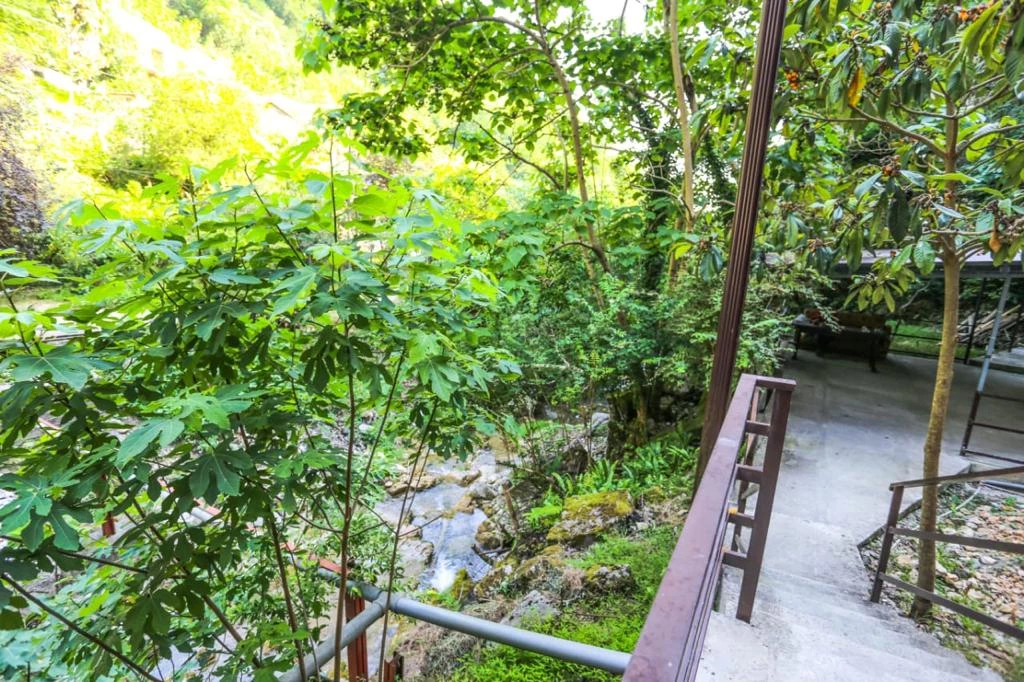 . Гостевой дом "Пантера". Гагра