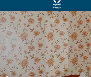 Стандарт 2-местный. Гостевой дом Горный воздух. 