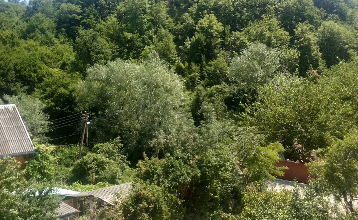 ЧЕТЫРЕХМЕСТНЫЙ ЛЮКС. Гостевой дом Fermond. Джубга ЧЕТЫРЕХМЕСТНЫЙ ЛЮКС. Гостевой дом Fermond. Джубга