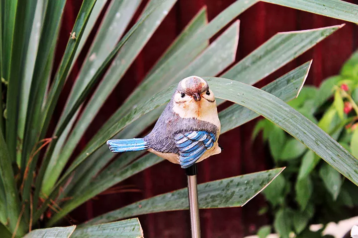 . Частный сектор Елена. Геленджик