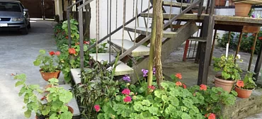 Частный сектор Гостевой дом «Соломон»